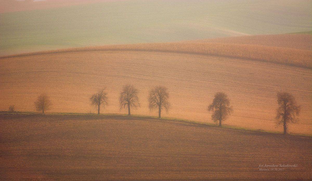 behind the fog. Автор: Jarosław Sokołowski , Jarosław Sokołowski