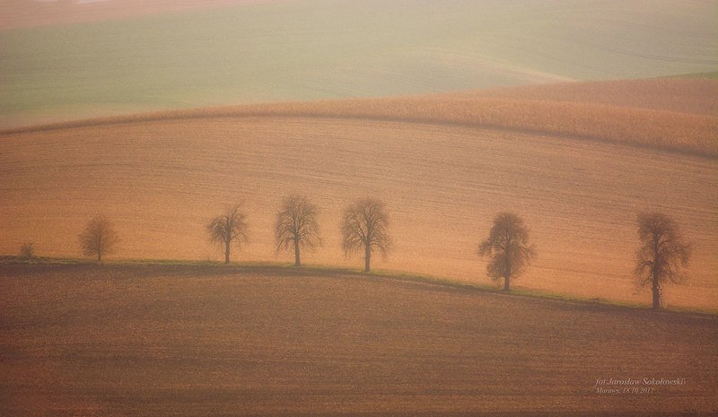 behind the fogphoto preview