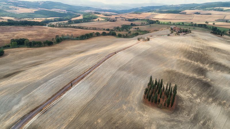 i cipressiphoto preview