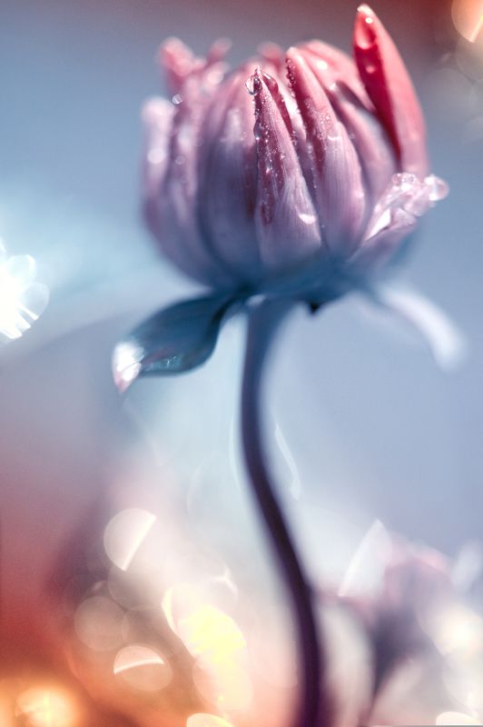 ...другие цветаphoto preview