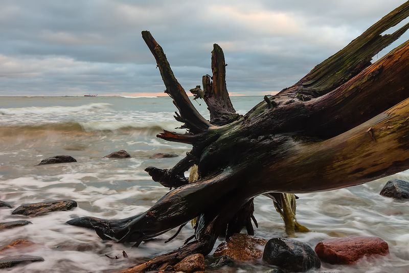 ЗАОСТРОВЬЕphoto preview