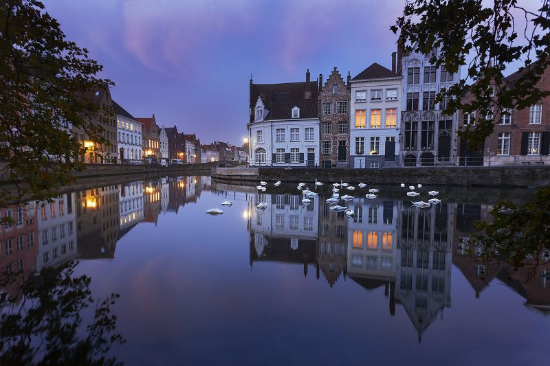 брюгге, отражение, лебеди Предрассветный Брюггеphoto preview