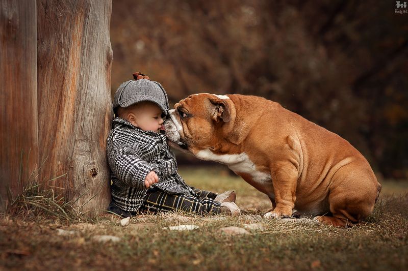 Маленькие Шерлокиphoto preview