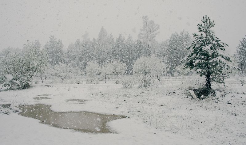 Такого снегопада....photo preview