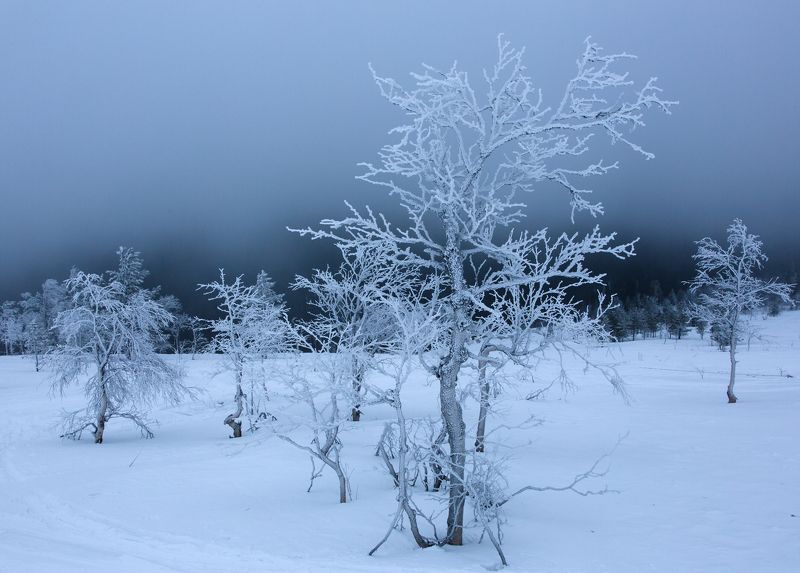 зима, горы, урал, деревья, снег, иней, облака, антон селезнев, путешествие На склоне Главного Уральского хребтаphoto preview