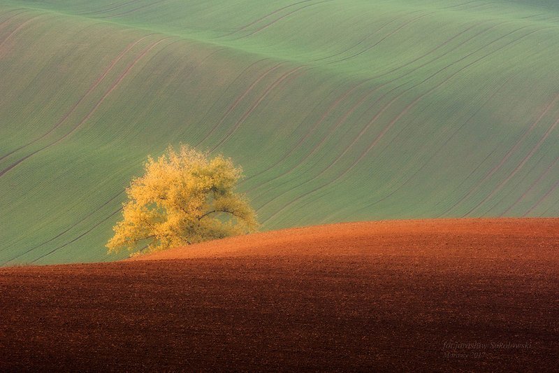 прикосновение солнца...photo preview