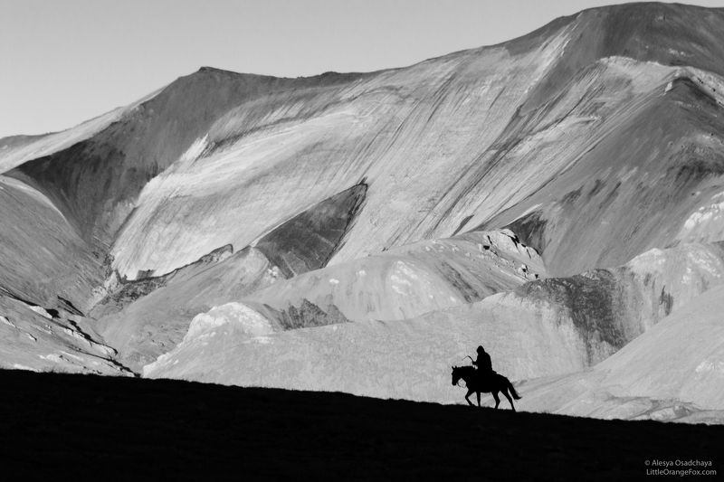черно-белое, пейзаж, силуэт, горы, чабан, конь Путь домойphoto preview