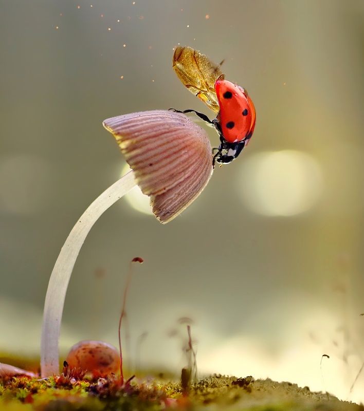 На взлётphoto preview