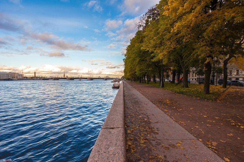 санкт-петербург, река, нева, осень, мост, небо, вода, деревья, листва, синее, желтое Пол осени.photo preview