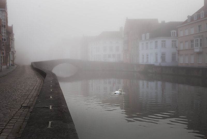 Первый проснувшийся жительphoto preview