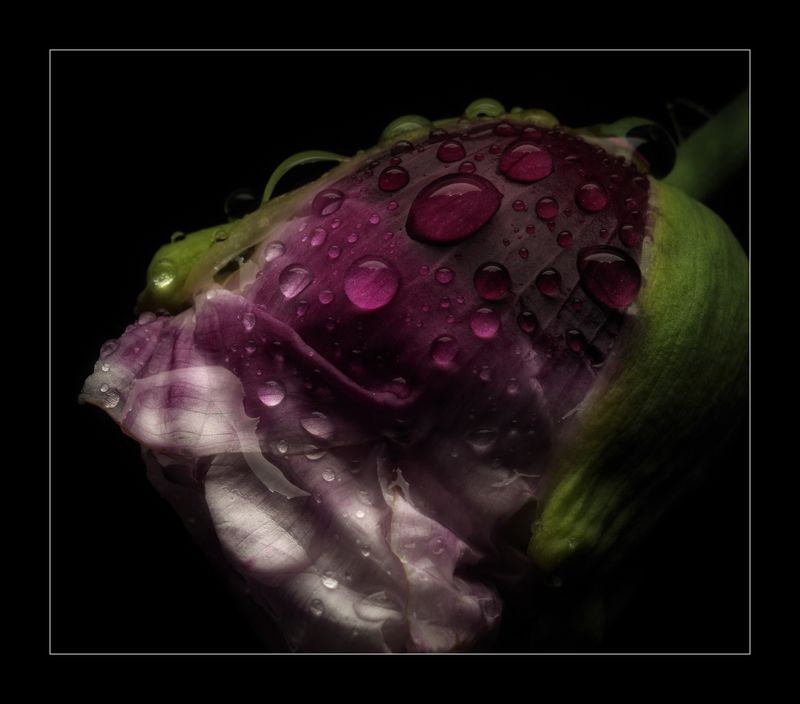 Состояниеphoto preview