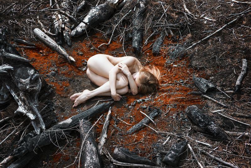 Solitude 17/2photo preview