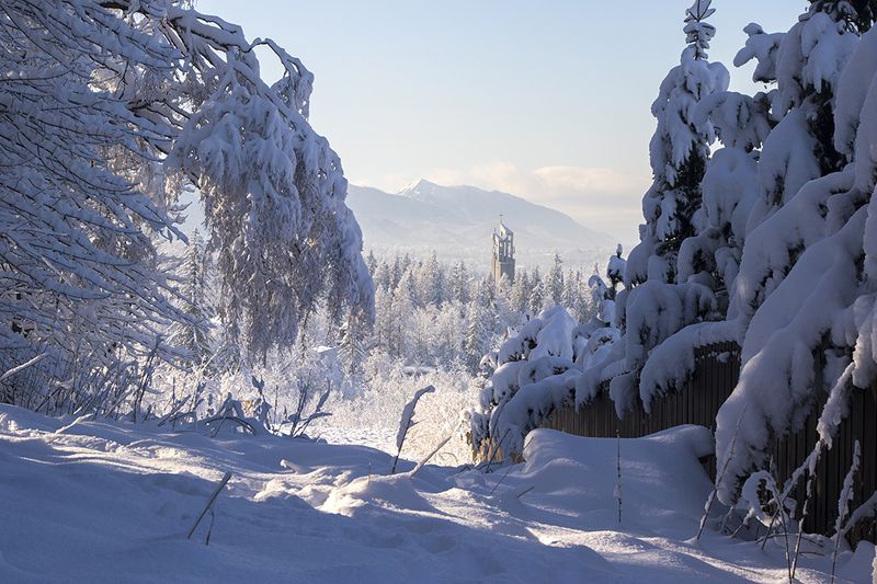 В снегахphoto preview