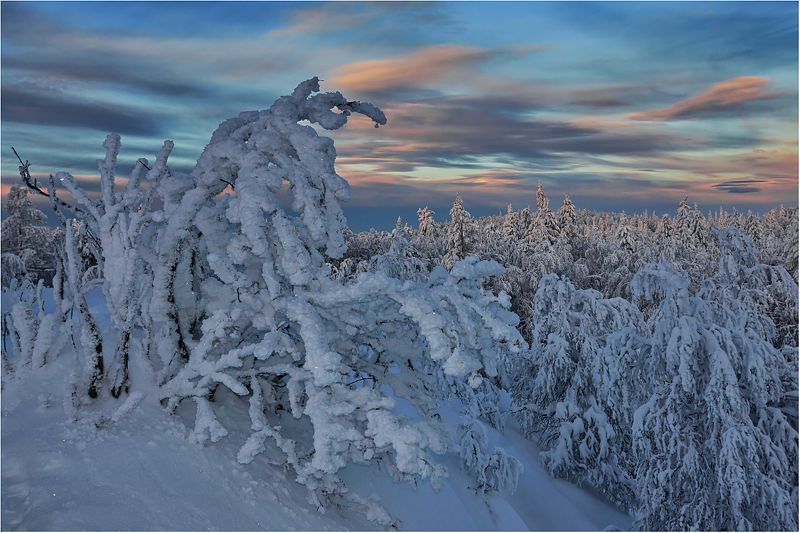 Зима ..продолжение..photo preview