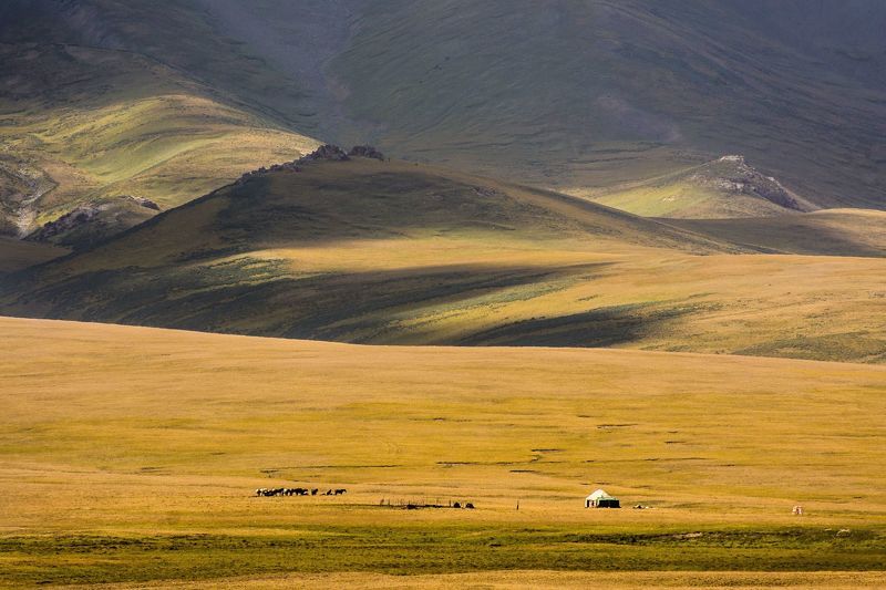 пастбище, горы, природа, пейзаж, юрта Высокогорное пастбищеphoto preview