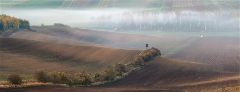 чехия, южная моравия,  осень, линии, свет, геометрия, south moravian, czech, chiaroscuro, туман, fog Утро на Моравеphoto preview