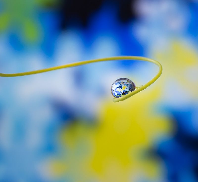 Отражениеphoto preview