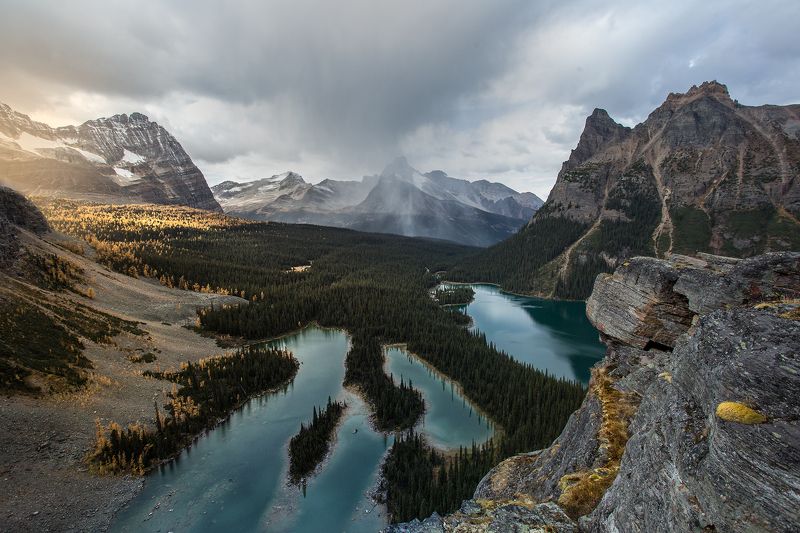 ОСЕННИЙ ЙОХОphoto preview