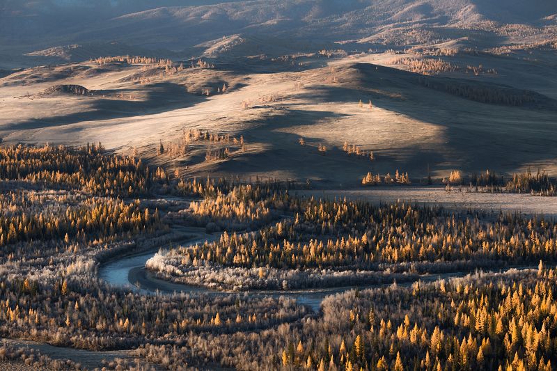 Утро в Курайской степи фото превью
