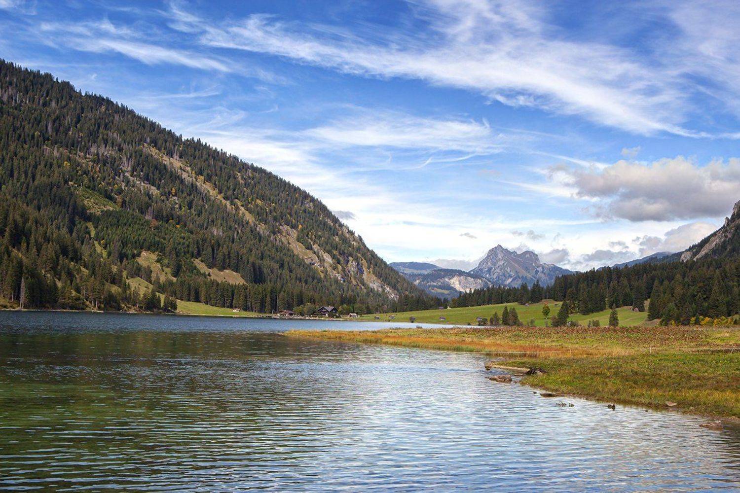 Автор: Игорь Дубровский , Игорь Дубровский