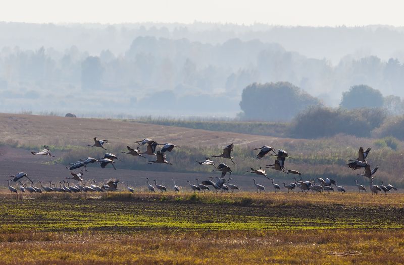 Трогательные моменты прощанияphoto preview