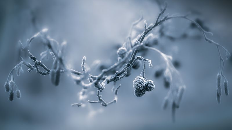 ...зимаphoto preview