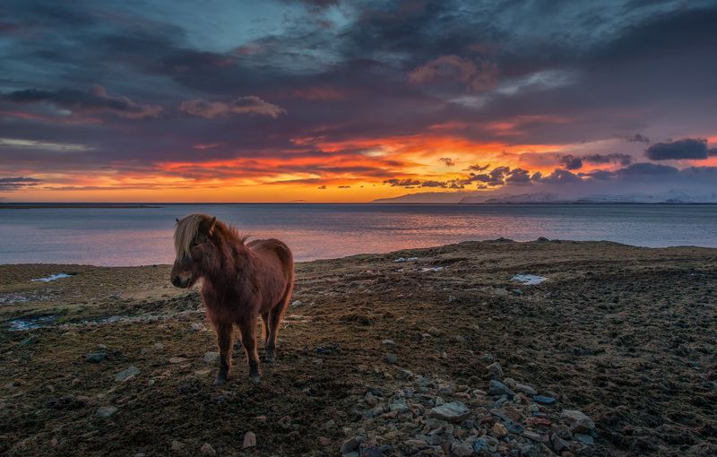 Исландский минимализмphoto preview