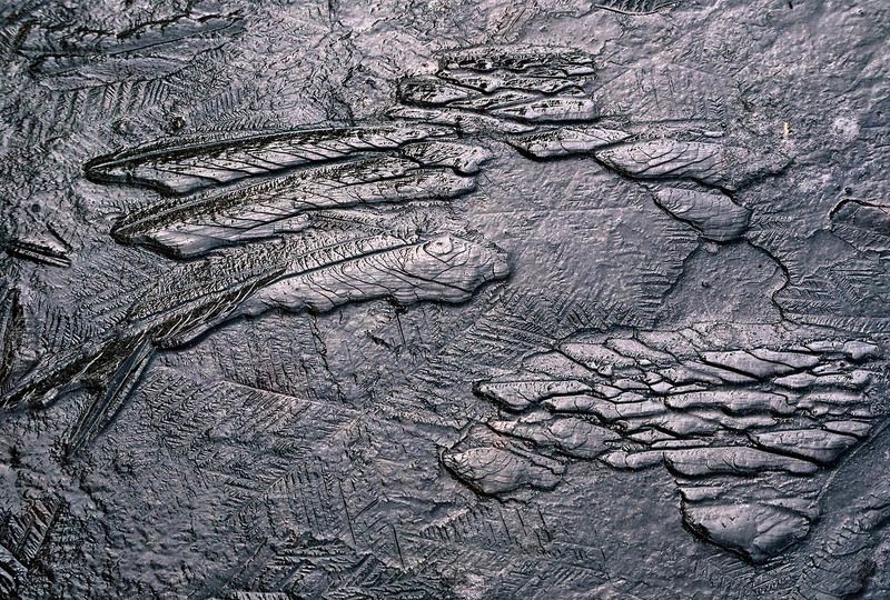 архипелаг, летучей, рыбы Архипелаг Летучей рыбыphoto preview