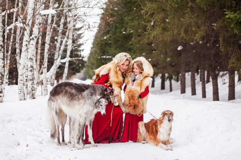 Дворянкиphoto preview