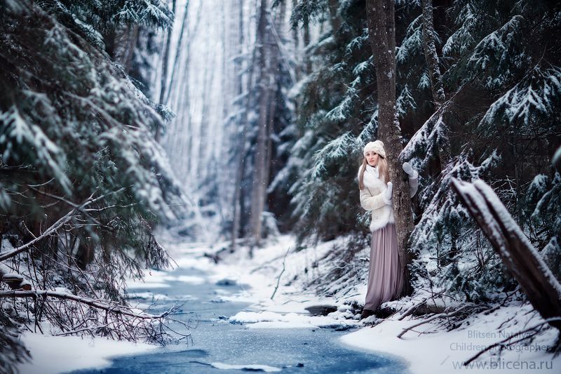 Сказочный лес.photo preview