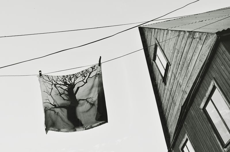 дом, чб, ч/б, анна салтыкова, батик, дерево, небо, провода Знамяphoto preview