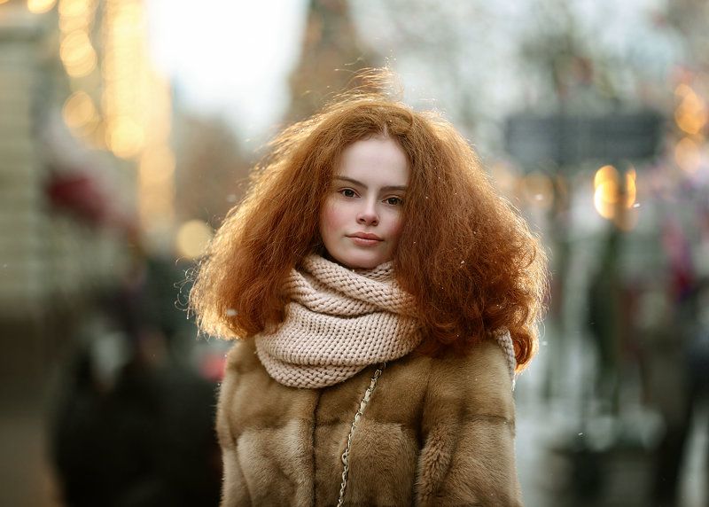 Городские Лисички.photo preview