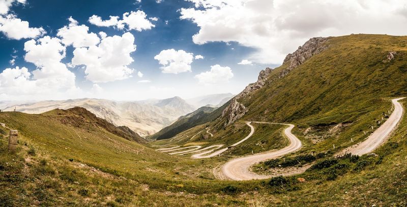 Перевал 33 попугаяphoto preview