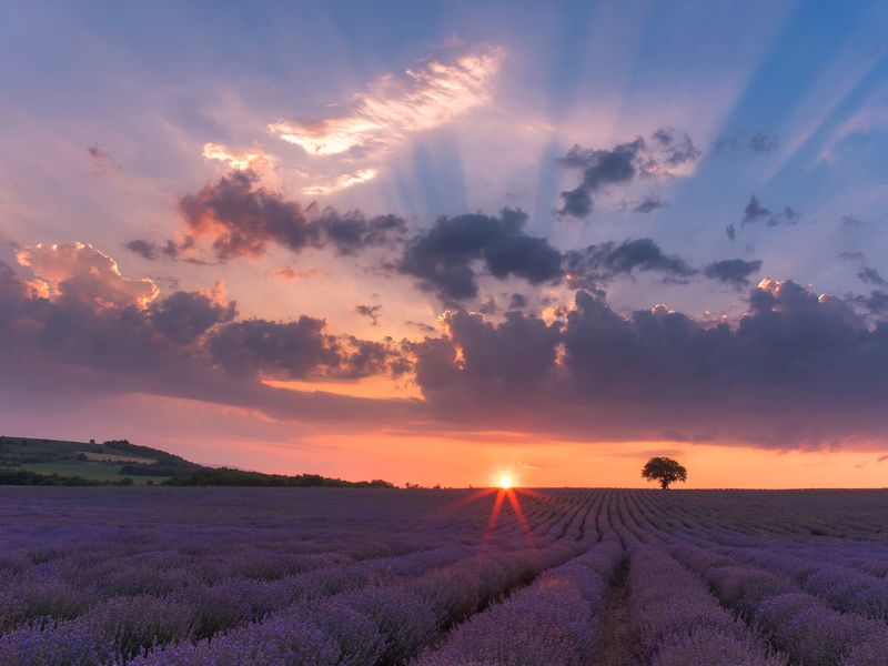 Летни спомени 2photo preview