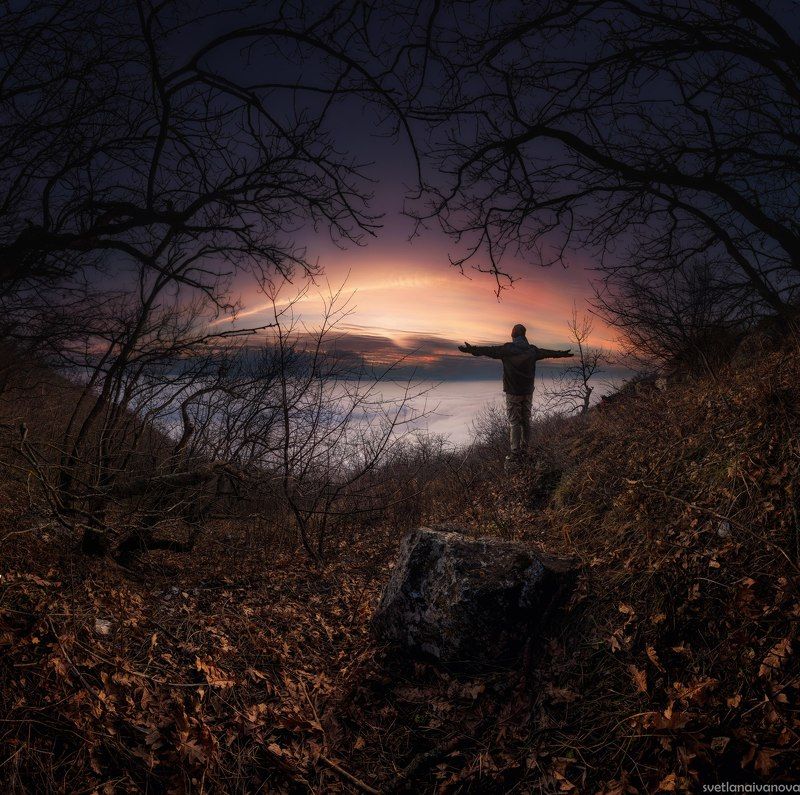 Nature eyephoto preview