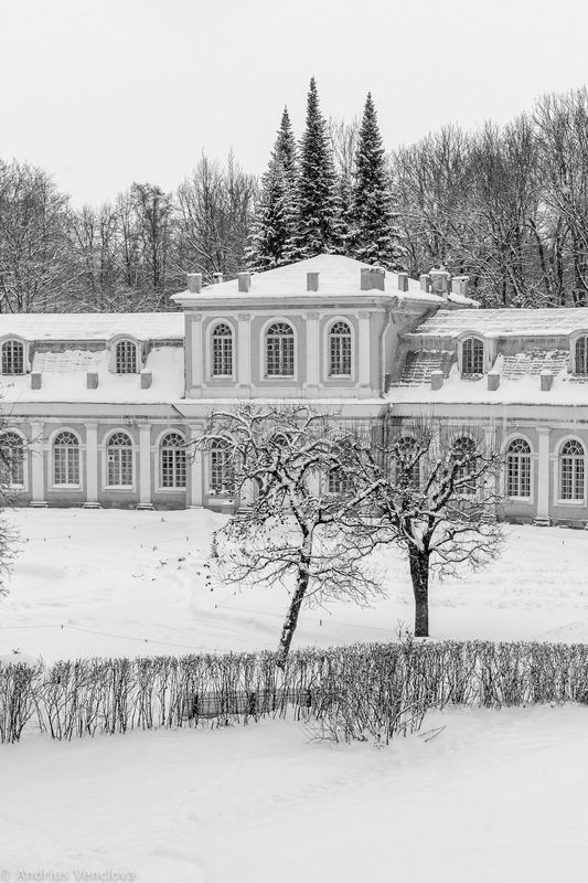 Три елиphoto preview