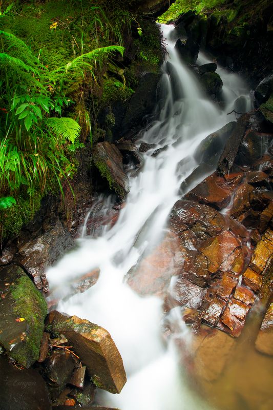 nature, landscape, mountains, water, spring, carpathians, ukraine Музыка ручьяphoto preview