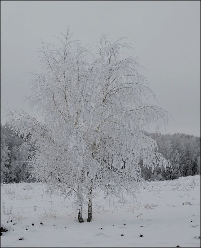 Россия,зима,снег На просторах Россииphoto preview