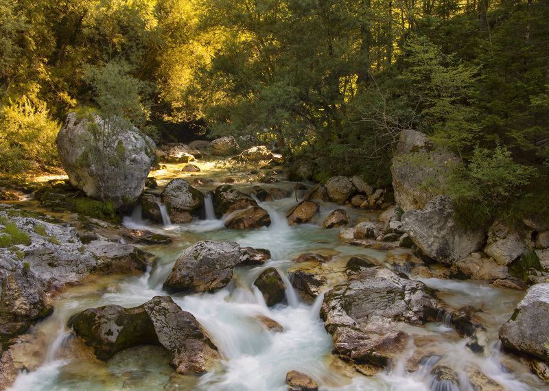 Morning by the riverphoto preview