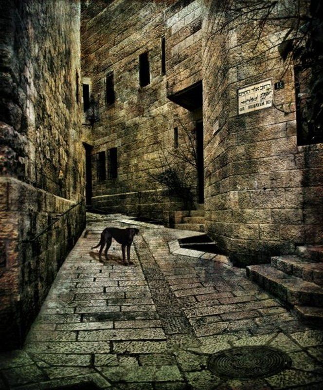 Lonely фото превью