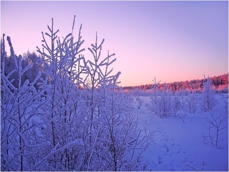 иней,зима,мороз,лед,удмуртия Путешествие в страну HOARFROSTphoto preview