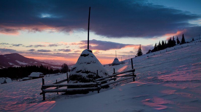 Буковєнphoto preview