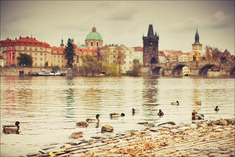 прага,октябрь,осень Осенняя пастораль.photo preview