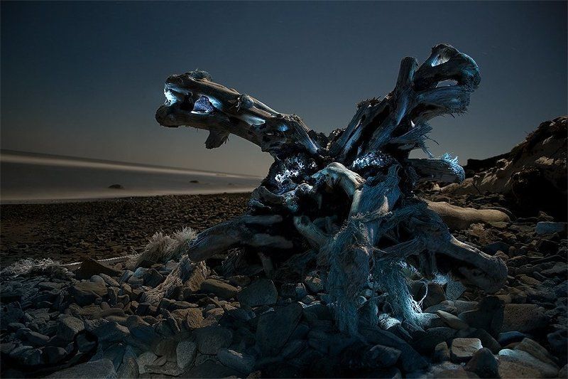 химераphoto preview