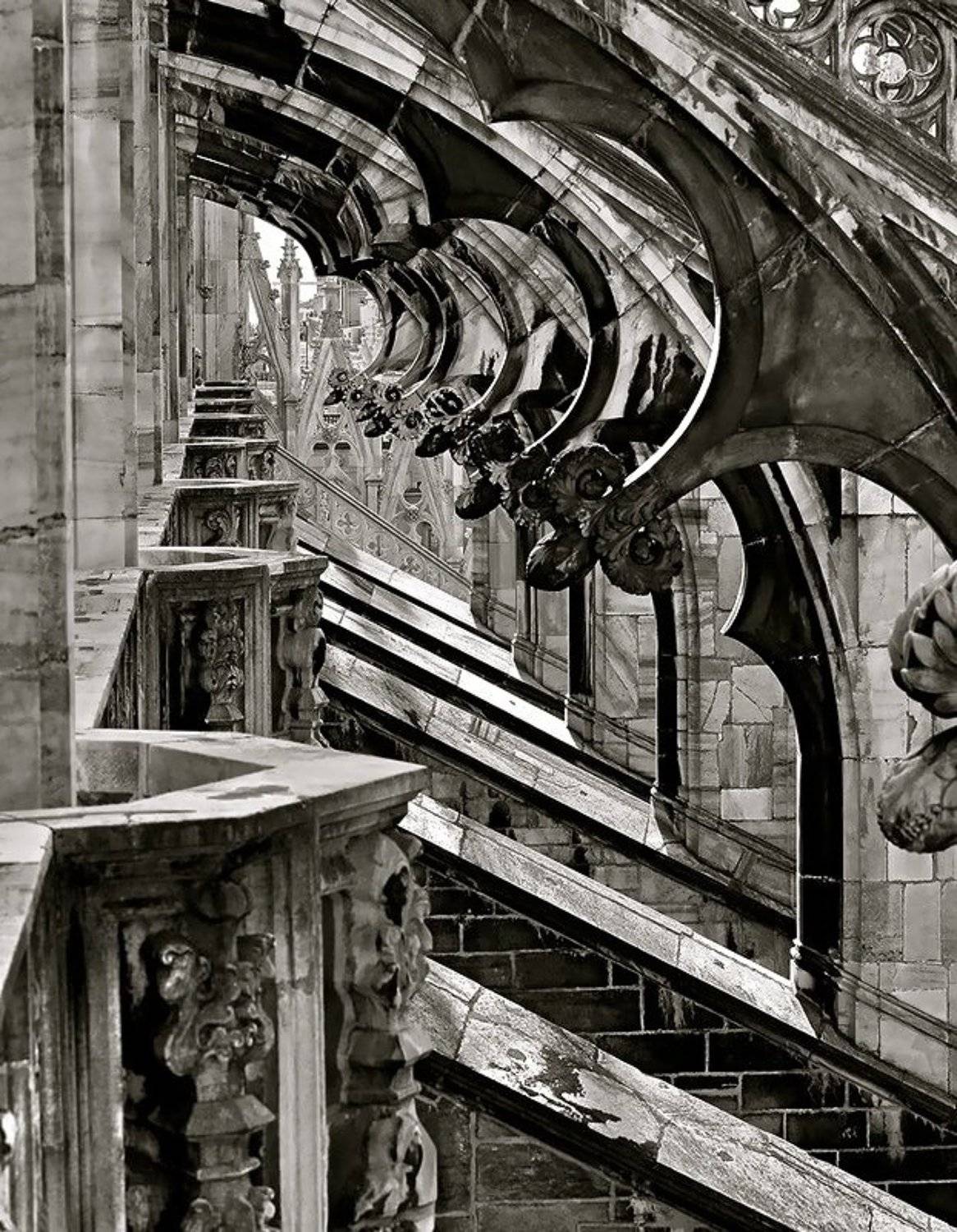 , Vasylevskyy Vitaliy