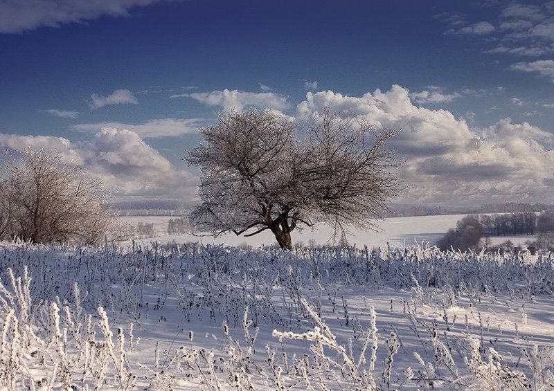 зимаphoto preview