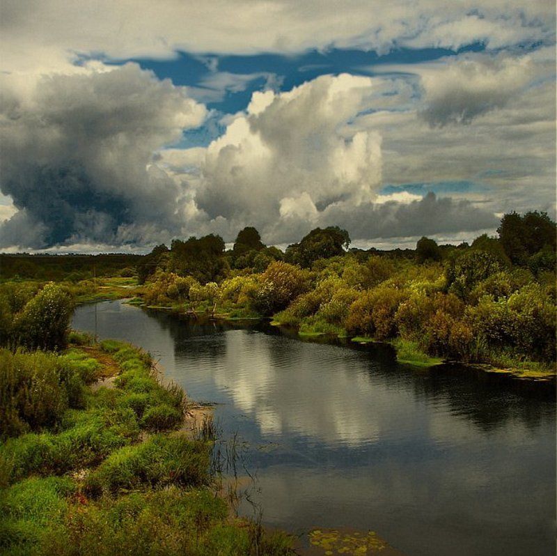 Предчувствие дождяphoto preview