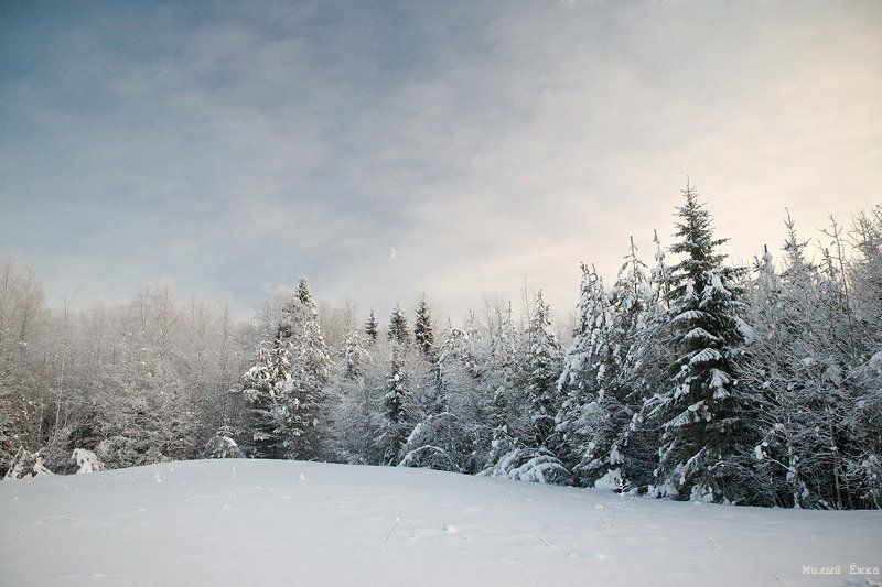 зимняя, сказка Стражи зимы....photo preview