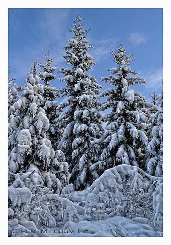 C наступившим Новым Годом и Рождеством!photo preview