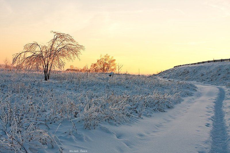 закат Краски заката...photo preview